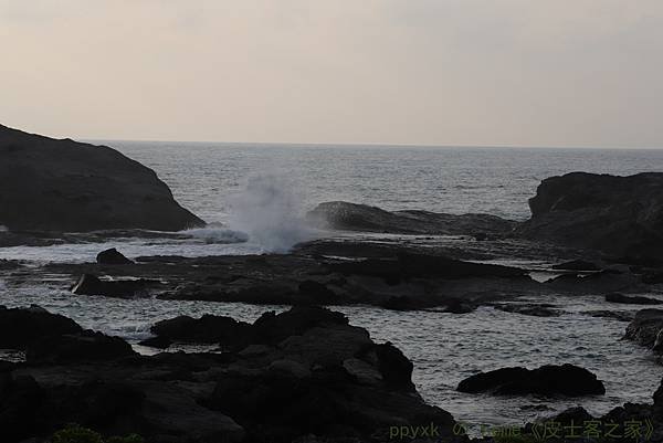 IMG_5830.jpg