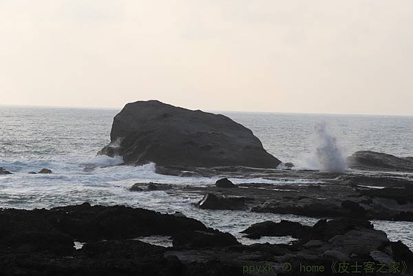 IMG_5831.jpg