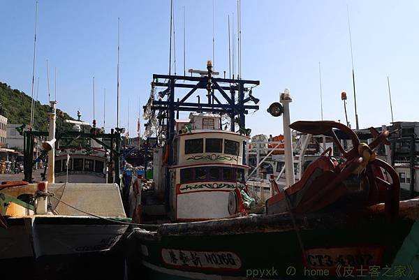 IMG_8386.jpg