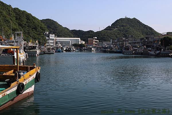 IMG_8387.jpg