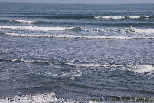 IMG_8428.jpg