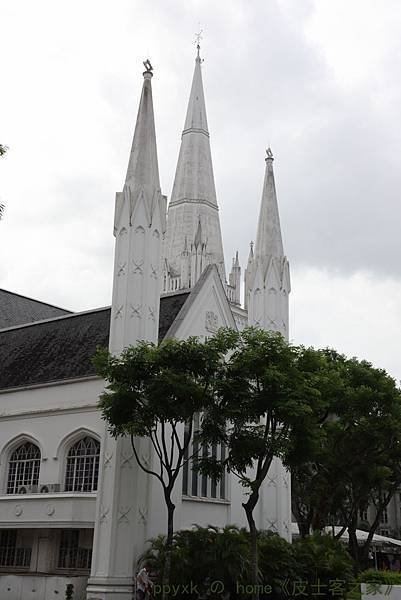 IMG_1073.jpg