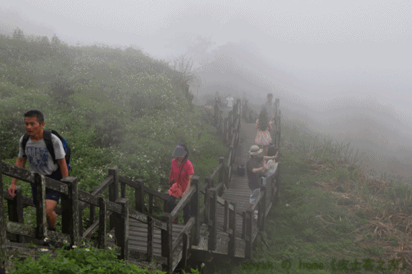 隙頂雲霧.gif