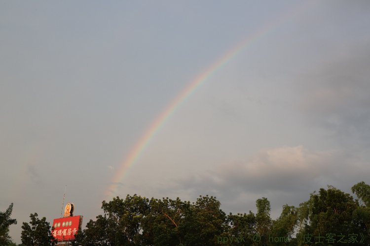 IMG_7212.jpg