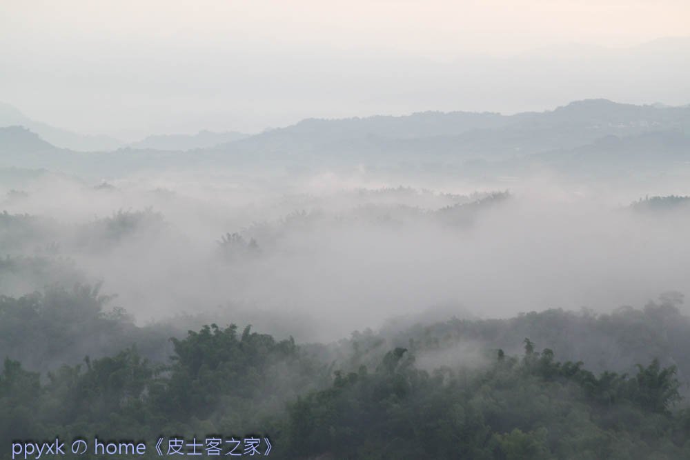 IMG_7696.jpg