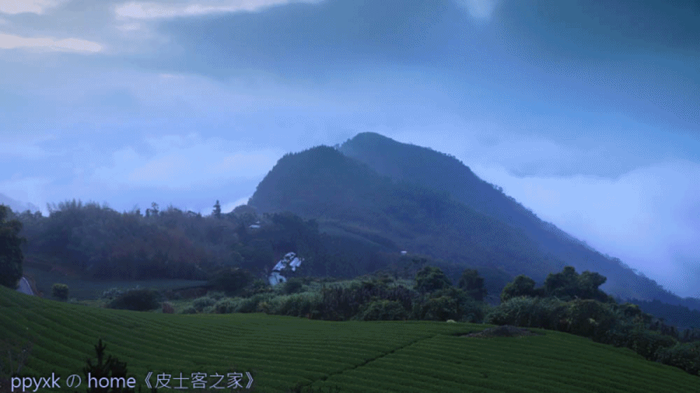 晨光曲(52).gif