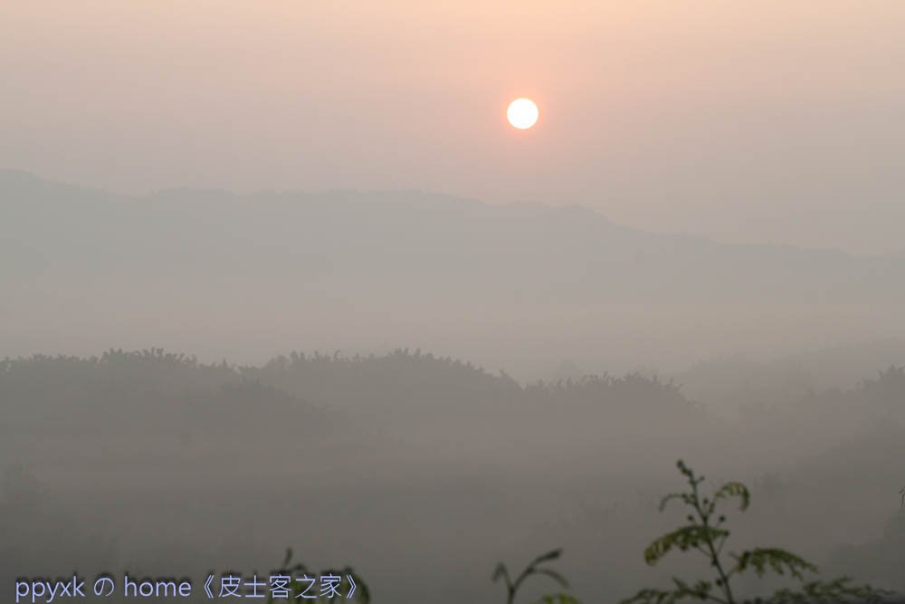 IMG_7861.jpg