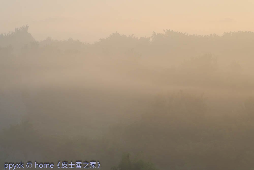 IMG_8149.jpg