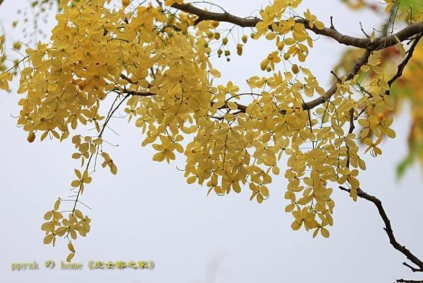 IMG_6240.jpg
