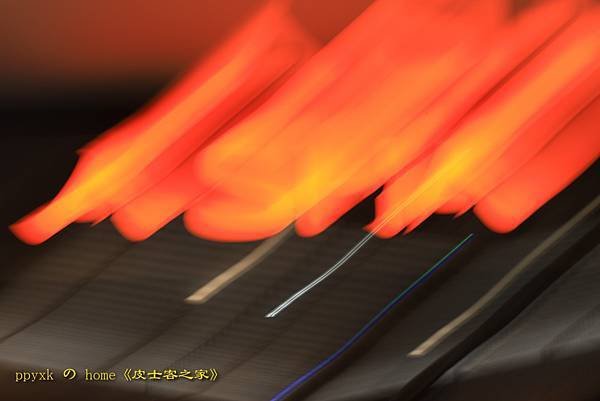 IMG_8128.jpg