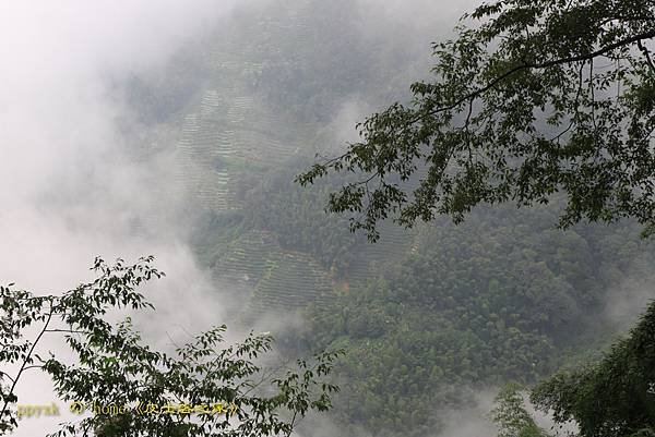 飄逸山嵐
