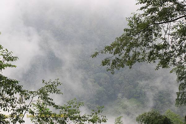 飄逸山嵐