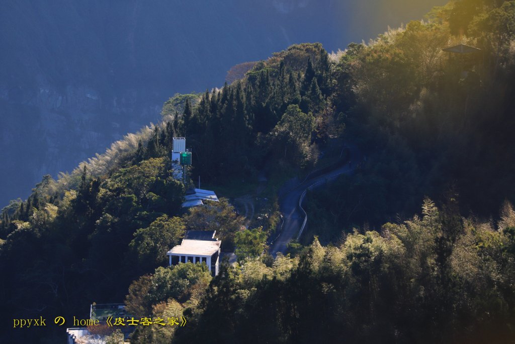 寶島掠影(356)