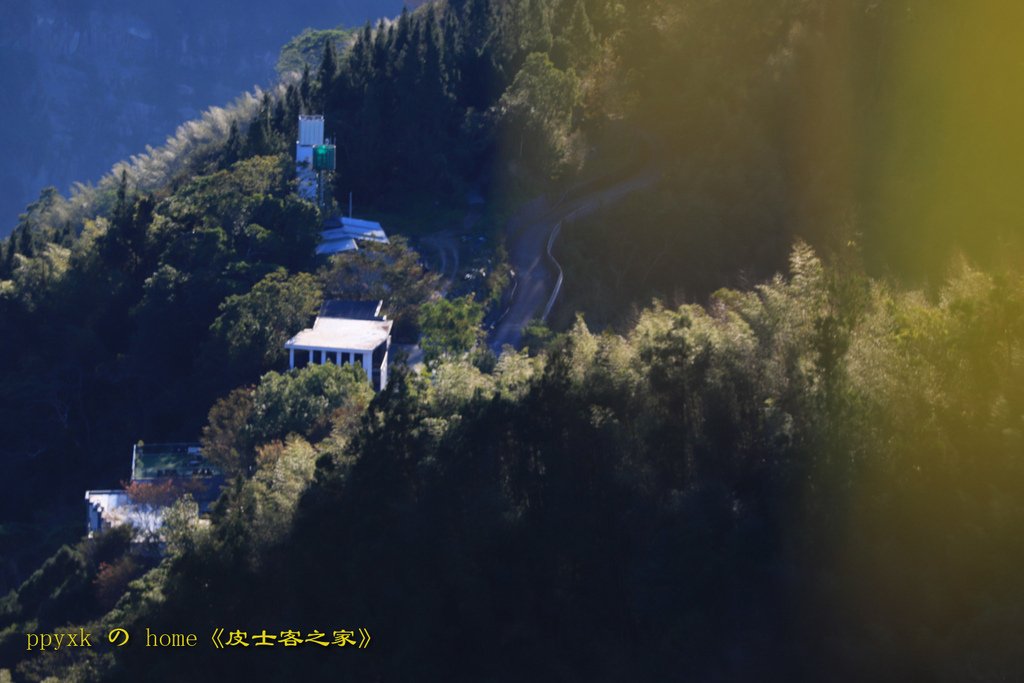 寶島掠影(356)