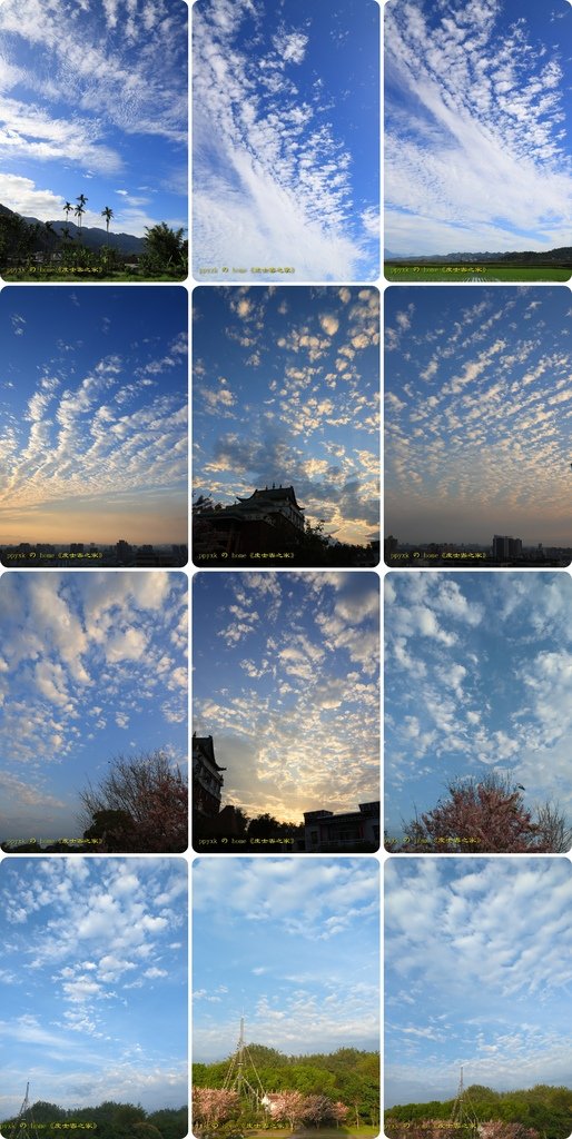 浮雲組圖(171).jpg