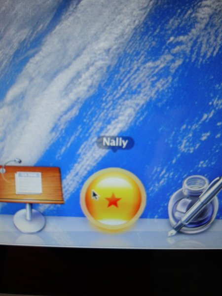 nally可以上bbs