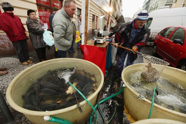 捷克聖誕鯉魚攤販(3).jpg