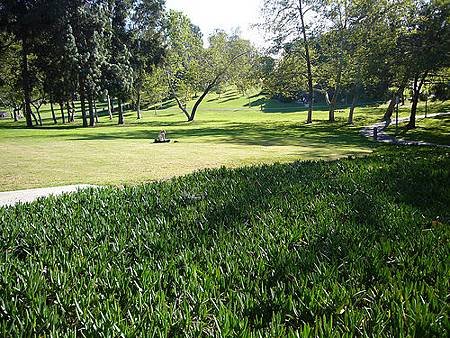 UCI aldrich park2