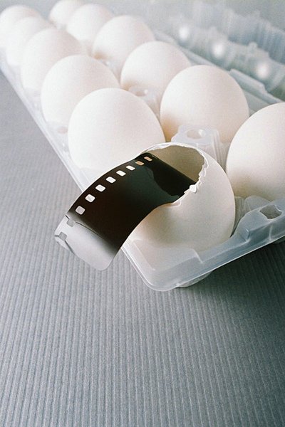 the_film_or_the_egg_question_by_yellowminded.jpg