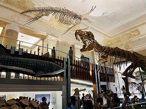 台灣博物館本館。古生物館：天氣炎熱、雨天可以去的室內景點，適