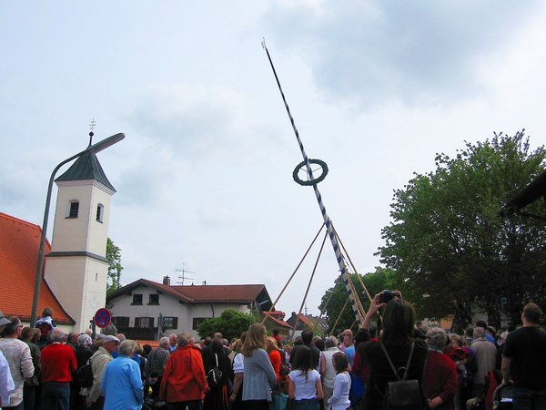 IMG_3724.jpg