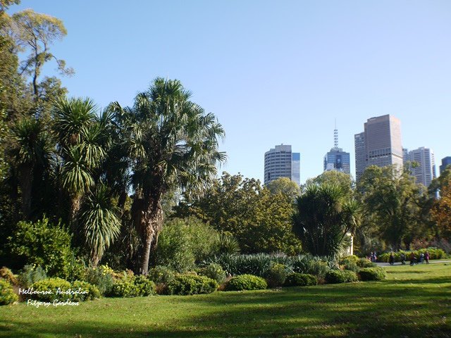 P1180341