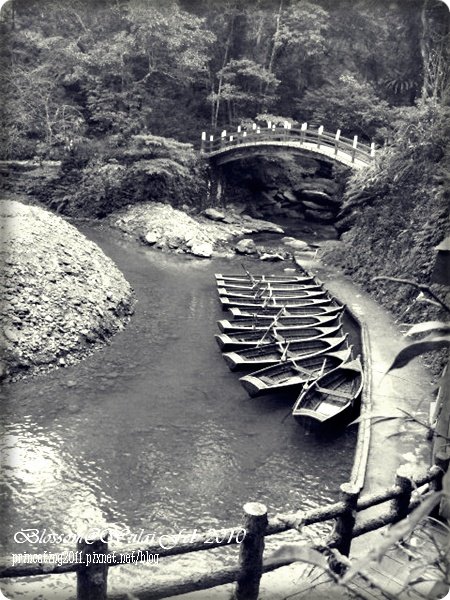 DSCF9674.JPG