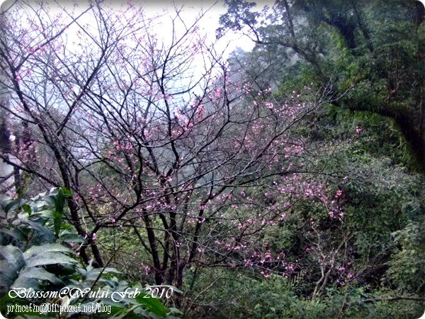 DSCF9689.JPG