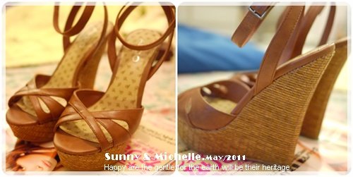 cats-shoes1.jpg