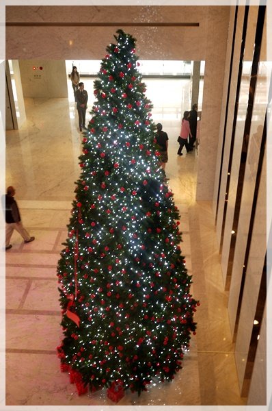 P1020139.JPG