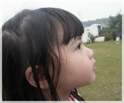 P1010191-crop.JPG