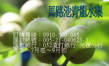 名片貼紙