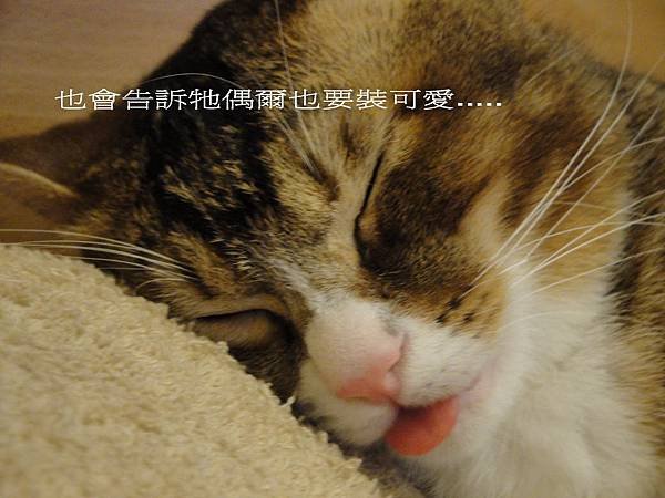 DSC03964.jpg(網誌用).jpg