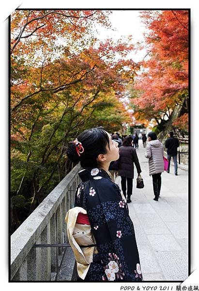 nEO_IMG_DSC03983.JPG
