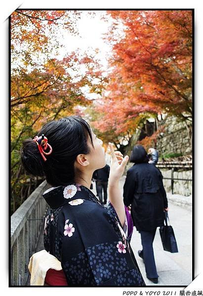 nEO_IMG_DSC03986.JPG