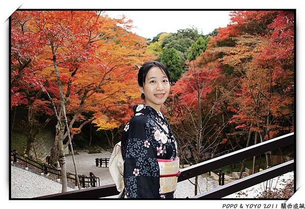 nEO_IMG_DSC04009.JPG