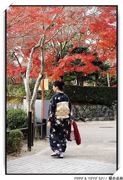 nEO_IMG_DSC04019.JPG