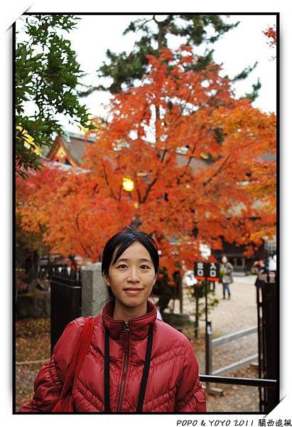 nEO_IMG_DSC04994.jpg
