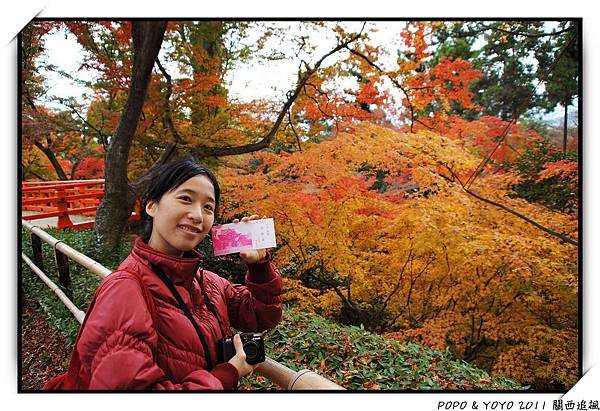 nEO_IMG_DSC04999.jpg