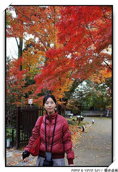 nEO_IMG_DSC05008.jpg