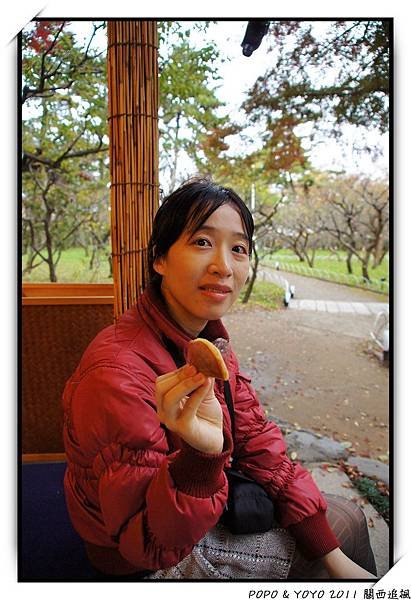 nEO_IMG_DSC05015.jpg