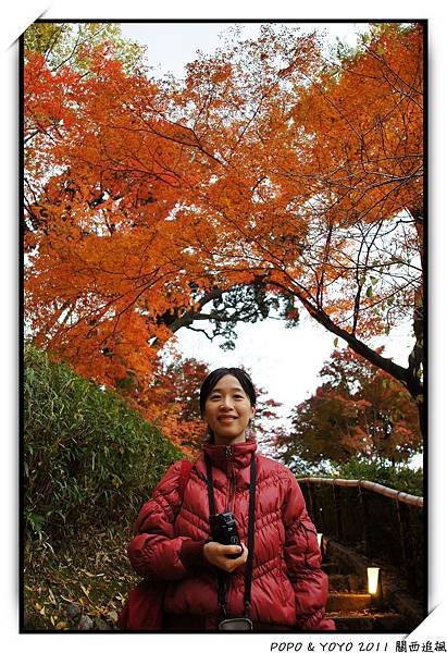 nEO_IMG_DSC05018.jpg