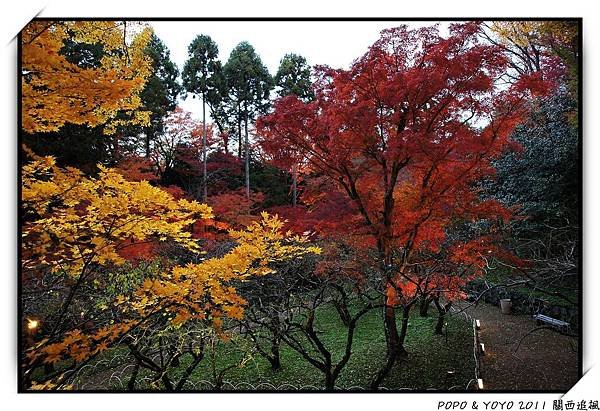nEO_IMG_DSC05022.jpg