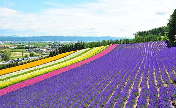 雙向國際旅行社北海道評價