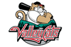 Astros Tri-City Valleycats logo.png