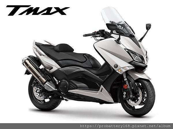 T-MAX-1.jpg