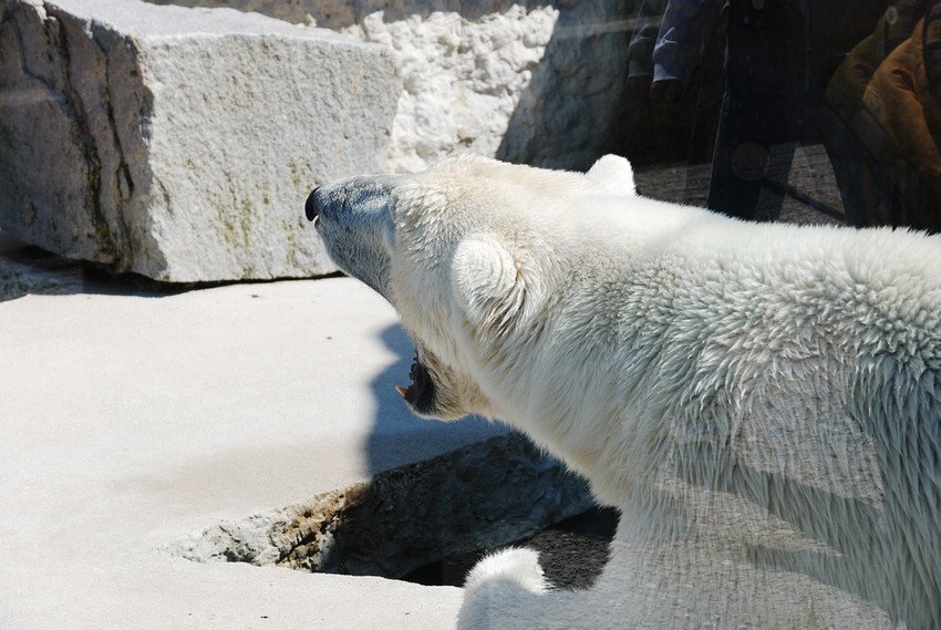 DSC_7629.jpg