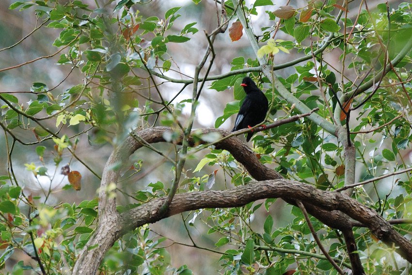 DSC_1784.jpg
