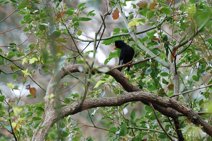 DSC_1785.jpg