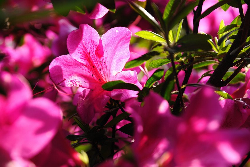 DSC_3561.jpg
